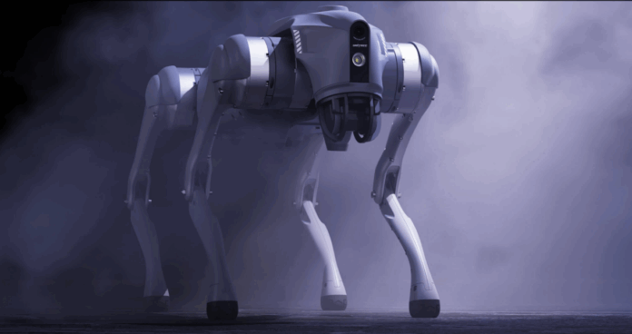 Report: China to host first embodied intelligent robot games after robot marathon