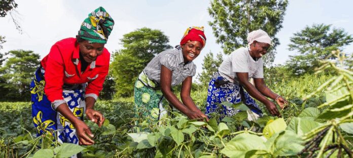 Kenya’s Farmer Lifeline & Solar Freeze among Startups Shortlisted For Qualcomm Make in Africa by 2025