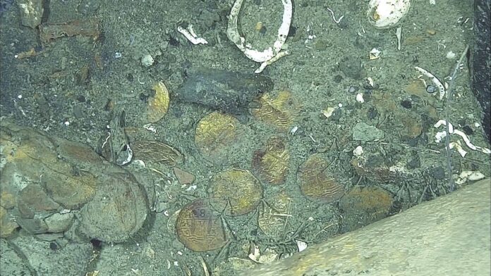 Gold coins from the ‘world’s most richest shipwreck reveal 300-year old depictions of castles and lions