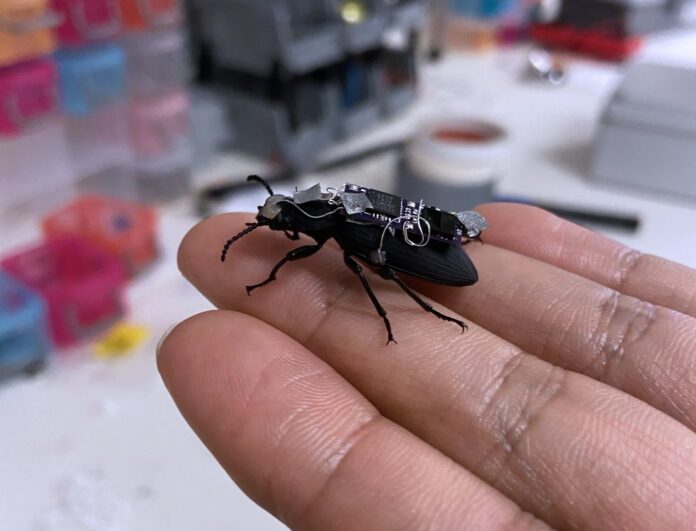 Video Friday: Cyborg Beetles Could Speed Disaster Response in One Day