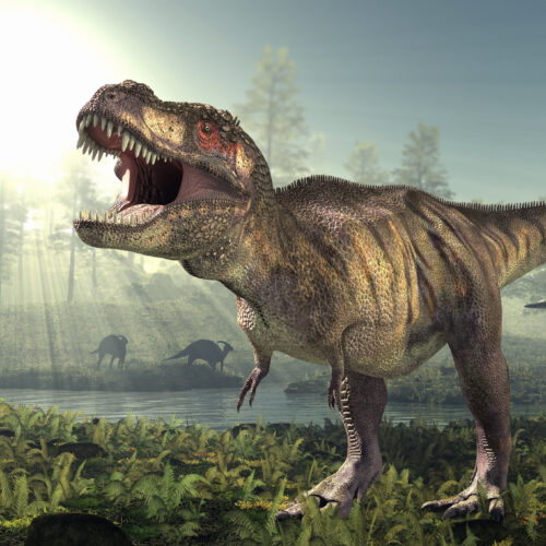 Rowe says that for giant carnivorous dinos, size did not mean a large bite.