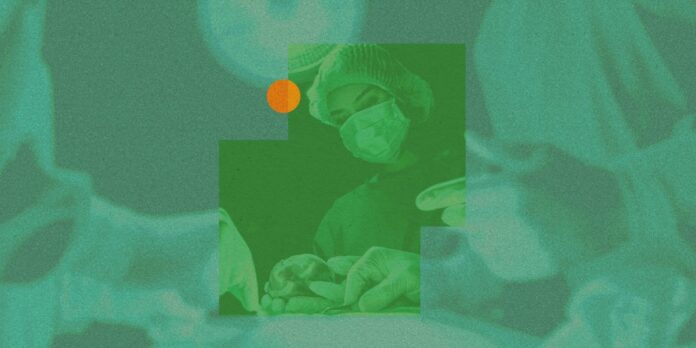 The Download: longevity myths and sewer-cleaning Robots