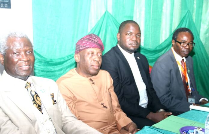 Nigerian health heroes are urged to embrace AI as brain drain threatens the future