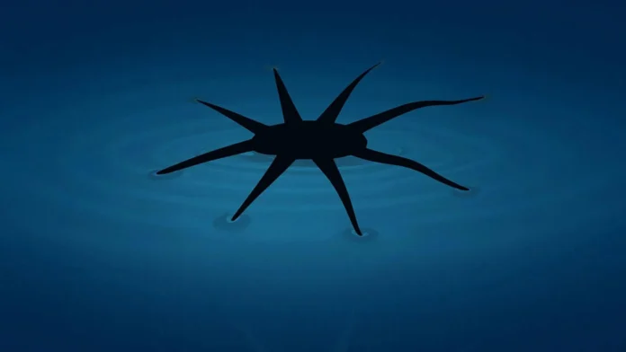 These little robots literally walk over water