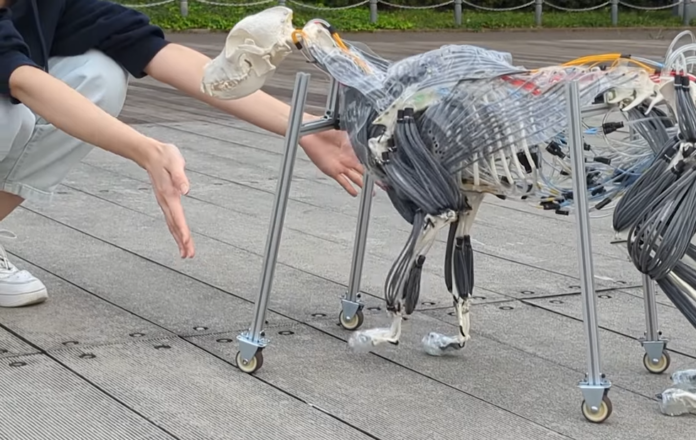 Video Friday: Robot Dog Shows Off Its Muscles