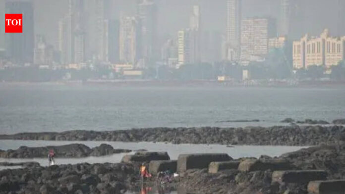 Navi Mumbai: Now, ‘Robo security’ at 3 Raigad beaches to boost tourist security