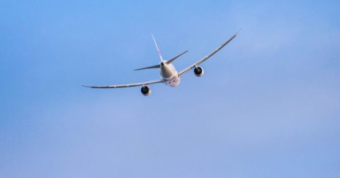 Future holiday horror: ‘A robot lost my luggage in Tokyo’