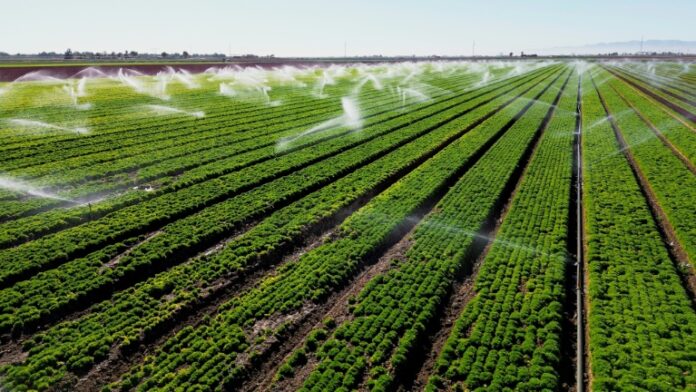 Thinking before picking: Smarter harvest robots and the impact on modern farming