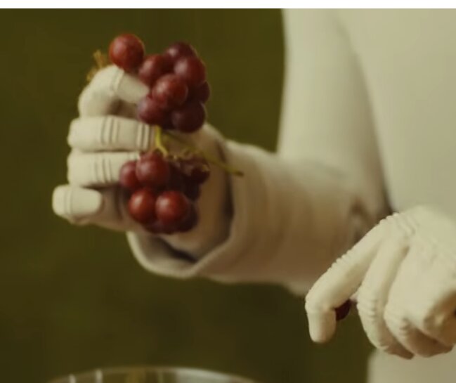 1X Neo Humanoid Robotics Hands Match Human Capability