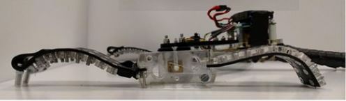 Canada’s soft robotics research is moving from laboratory novelty to business tool